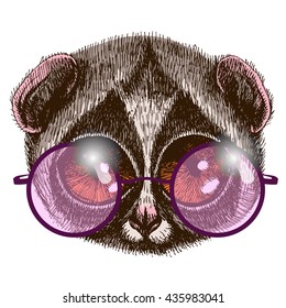 Portrait of a slow loris with round glasses. Vector hand drawn illustration for your design.