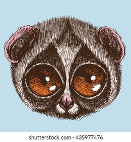 Portrait of a slow loris. Vector hand drawn illustration for your design.