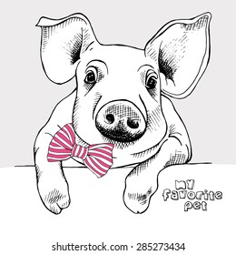 Portrait of a small pig with a pink striped tie. Vector illustration.