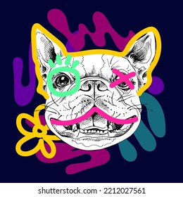 Portrait smiling  Boston Terrier  Сombines sketch  geometric shapes   bright elements  Funny dog  Humor card  t  shirt composition  hand drawn style print  Vector illustration 