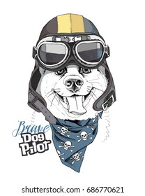 Portrait of the Smiling dog in a Aviator Helmet and in a cravat with skulls. Vector illustration.