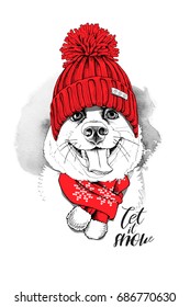 Portrait of the Smiling dog in a red Knitted hat and in a winter scarf with pom pom. Vector illustration.