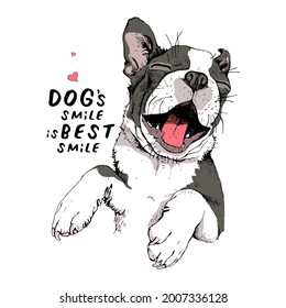 Portrait of a smiling funny Boston Terrier dog. Adorable puppy. Humor card, t-shirt composition, hand drawn style print. Vector illustration.