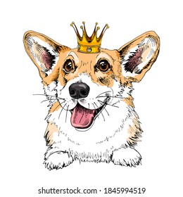 Portrait of the smiling funny Corgi dog in the Crown. Humor card, t-shirt composition, hand drawn style print. Vector illustration.