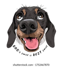 Portrait of a smiling funny Dachshund dog. Humor card, t-shirt composition, hand drawn style print. Vector illustration.