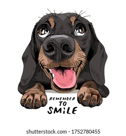 Portrait of a smiling funny Dachshund dog. Humor card, t-shirt composition, hand drawn style print. Vector illustration.