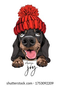 Portrait of a smiling funny Dachshund dog in the Knitted hat with pompom. Humor card, t-shirt composition, hand drawn style print. Vector illustration.
