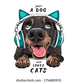 Portrait of a smiling funny Dachshund dog in the Headphones with cat ears. Humor card, t-shirt composition, hand drawn style print. Vector illustration.