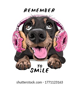 Portrait of a smiling funny Dachshund dog in the Headphones with pink Donuts. Humor card, t-shirt composition, hand drawn style print. Vector illustration.