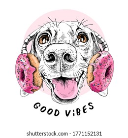 Portrait of a smiling funny Dachshund dog in the Headphones with pink Donuts. Humor card, t-shirt composition, hand drawn style print. Vector illustration.