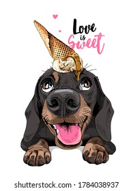 Portrait of a smiling funny Dachshund dog with Ice Cream. Love is Sweet - lettering quote. Humor card, t-shirt composition, hand drawn style print. Vector illustration.