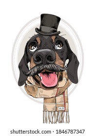 Retrato del sonriente y gracioso perro de Dachshund con bigote en el sombrero superior del caballero y bufanda a cuadros. Tarjeta de humor, composición de camisetas, impresión a mano. Ilustración vectorial.