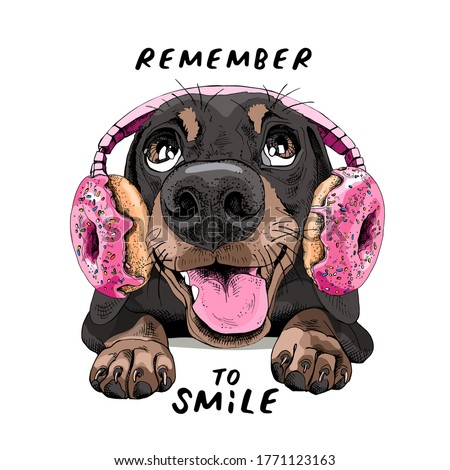Portrait of a smiling funny Dachshund dog in the Headphones with pink Donuts. Humor card, t-shirt composition, hand drawn style print. Vector illustration.
