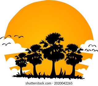 portrait of some palm trees in the afternoon .vector illustration