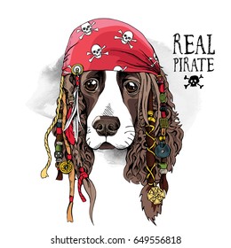 Portrait of a Spaniel dog in Pirate bandana and with a dreadlocks. Vector illustration.