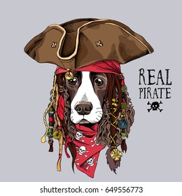 Portrait of a Spaniel dog in Pirate hat, bandana and with a dreadlocks. Vector illustration.