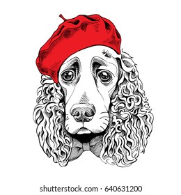 Portrait of a Spaniel dog in a red cap. Vector illustration.