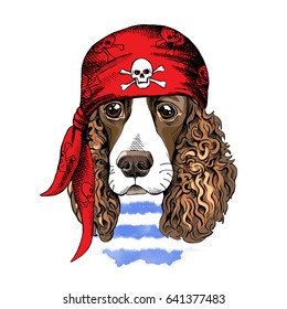 Portrait of a Spaniel dog in a red Pirate Bandana. Vector illustration.