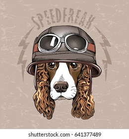 Portrait of a Spaniel dog in a retro biker Helmet. Vector illustration.