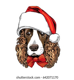 Portrait of a Spaniel dog in a Santa's hat and with bow. Vector illustration.