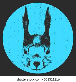 Portrait of Squirrel. Hand drawn illustration. Vector