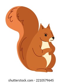 Portrait of squirrel, isolated rodent character with bushy tail. Personage with furry coat, feeding on nuts. Zoo or park. Forest woods animals, wildlife and natural fauna. Vector in flat style