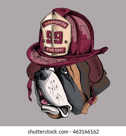 Portrait of a St. Bernard dog in Firefighter retro helmet. Vector illustration.