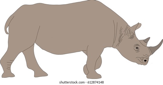 Portrait of a standing rhinoceros, hand drawn vector illustration isolated on white background