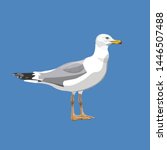 Portrait of a standing seagull. Vector illustration isolated on blue background