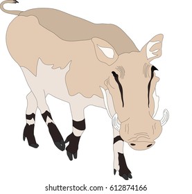 Portrait of a standing warthog, hand drawn vector illustration isolated on white background