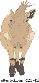 Portrait of a standing warthog, hand drawn vector illustration isolated on white background