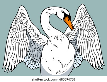 Portrait of a swan with spread wings