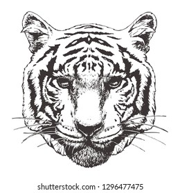 Portrait of Tiger, hand-drawn illustration, vector