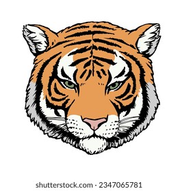 Retrato de Tigre. Ilustración dibujada a mano. Vector