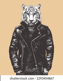 Portrait of Tiger in leather jacket, hand-drawn illustration, vector