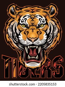 Portrait of a Tiger. Sport Team