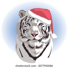 A portrait of a tiger, a symbol of the new 2022, wearing a Santa hat. Vector graphics.