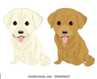 portrait of two cute labrador puppies