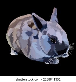 portrait or vector drawing of a rabbit