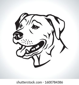 Portrait vector illustration of american terrier dog