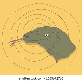 portrait vector illustration of lizard, on a colored background, vector