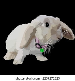 portrait or vector image of a rabbit