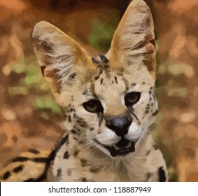 Portrait Vector of Serval African Wild Cat