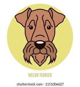 Portrait of Welsh Terrier. Vector illustration in style of flat