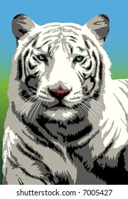 Portrait of white Bengal tiger looking intently (With several layers)