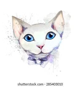 Portrait of a white cute cat with blue colored eyes. Vector version
