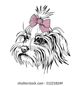 Portrait of the White Puppy Maltese in a pink striped bow. Vector illustration.