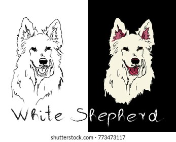 Portrait of a White Shepherd on white and black background . Symbol of the year 2018. Vector illustration