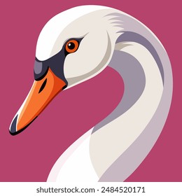 Portrait of a white swan with a long neck. Close-up. Isolated on a bright background. Vector illustration