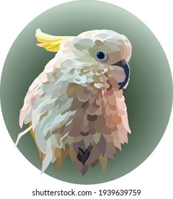 Portrait of a white yellow-crested cockatoo on a green oval background. A cockatoo with ruffled feathers turned its head to the side. Illustration. Vector, eps10.